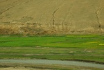 27519DSC_7838.JPG