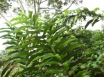 48117CIMG4454.JPG
