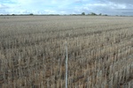 51591AGR_WA_040_L2.jpg