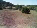 2012-09-02_18-09-53_PICT0011.JPG