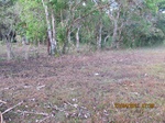 30034IMG_5356.JPG