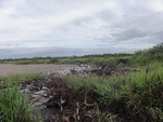 24861DSC01039.JPG