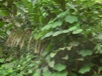 48810CIMG5147.JPG