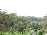 14649IMG_5030.JPG