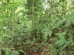 45676CIMG2761.JPG