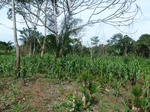 20122P1010973.JPG