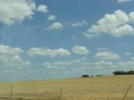 36011DSC02282.JPG