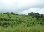 25240P1020083.JPG