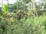 48529CIMG4866.JPG