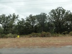 35804DSC02566.JPG