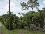 29589IMG_5156.JPG