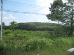 33674IMG_5880.JPG