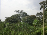 49802CIMG6139.JPG