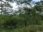 31520CIMG1386.JPG