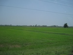 34527IMG_5510.JPG