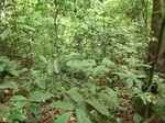 45709CIMG2794.JPG