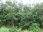 34840CIMG1511.JPG