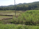 33572RIMG0237.JPG