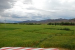 27428DSC_7068.JPG