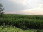 21962DSC00217.JPG