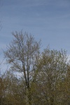 296IMG_4192.JPG