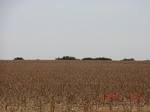 29839CIMG1278.JPG