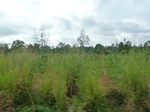 25028P1020380.JPG