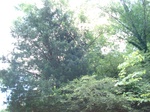 32220p7_s.jpg
