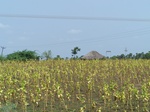 17402100_2088.JPG