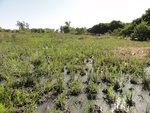 26593DSC00135.JPG