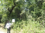 9245gt013a-forests-y-sec.gif