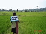 131580321b-irrigated-supplemental-tank-rice.gif