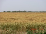 29658CIMG0934.JPG