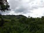 5525100_0898.JPG