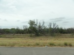 36036DSC02756.JPG