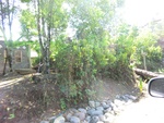 30283CIMG1817.JPG
