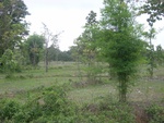 34580RIMG0046.JPG