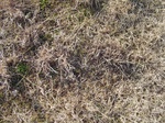10051DSC02792.JPG