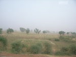 9136RIMG0217.JPG