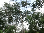 49847CIMG6184.JPG