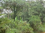 48904CIMG5241.JPG