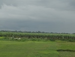 21944DSC00196.JPG