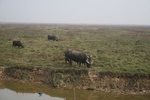 4116IMG_8751.JPG