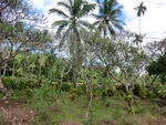 31168CIMG1030.JPG