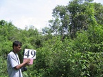 1191849-scruland-dense-3.5m-a.jpg