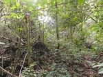 50213DSC02012.JPG