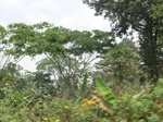 49464CIMG5801.JPG