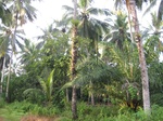 15948IMG_4499.JPG