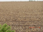 29609CIMG0877.JPG