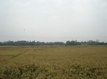 21873DSC08465.JPG